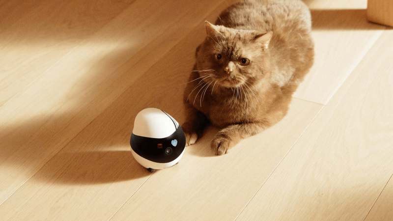 Enabot EBO Air: Smart Pet Companion Robot