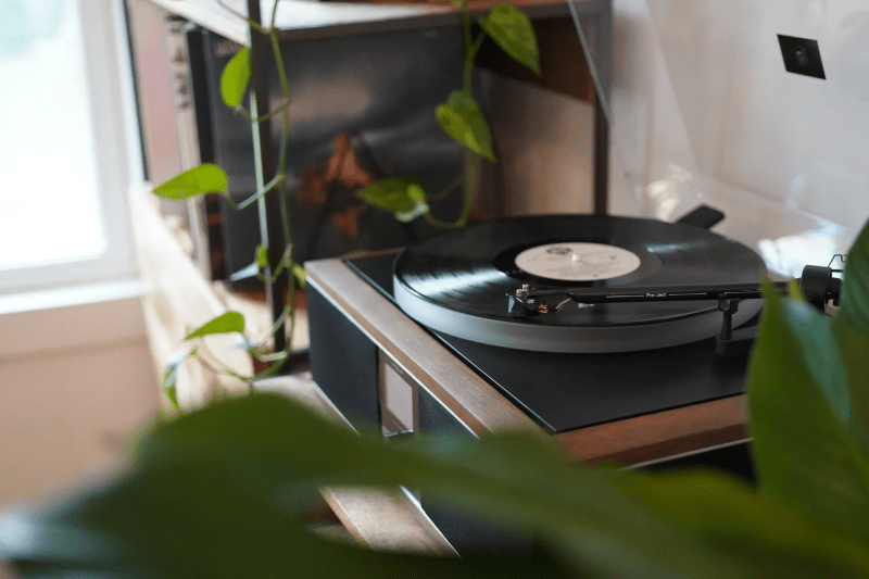 Close-up of the Class D bi-amplification system of the ANDOVER-ONE