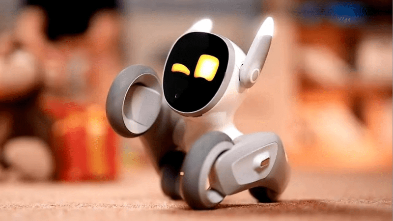 Loona waving her paw