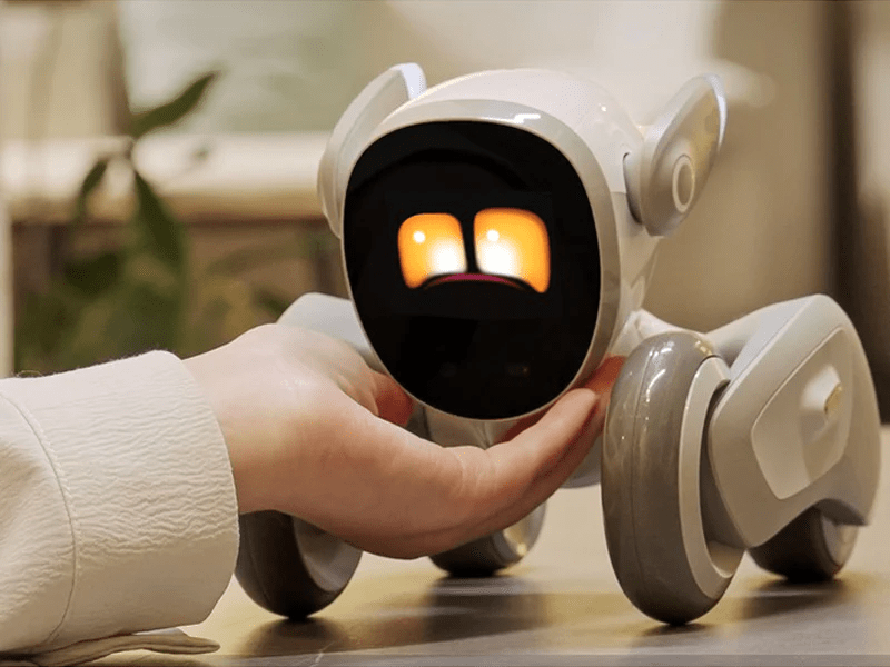 Hand petting Loona, the smart robot pet dog