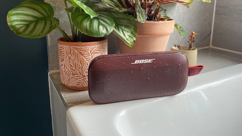 Take Your Sound Everywhere: Bose SoundLink Flex