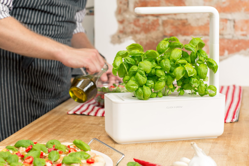 Chef using fresh herbs from indoor garden while making pizza.