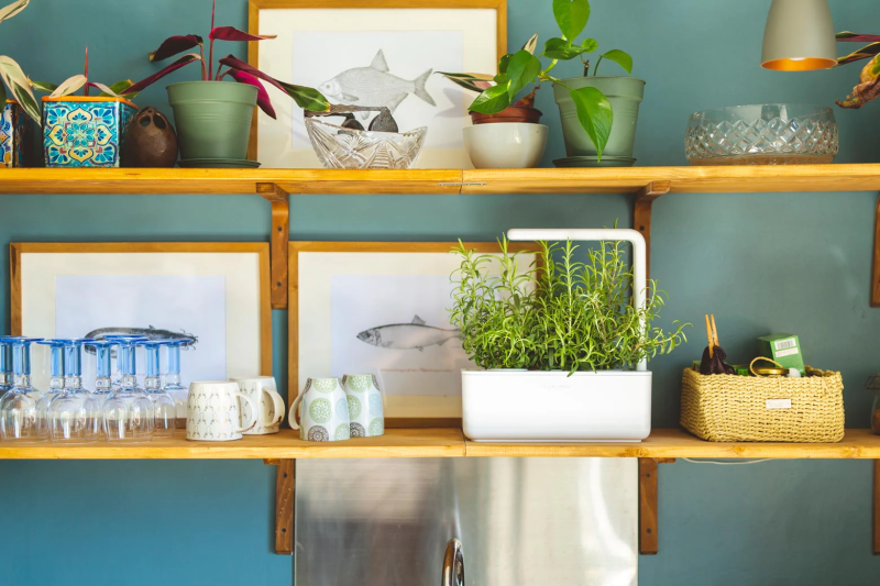 Grow Fresh: Click & Grow Indoor Herb Garden&nbsp;Review