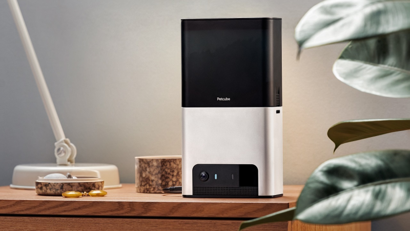 Petcube Bites 2 Lite: Your Pet’s Ultimate Companion