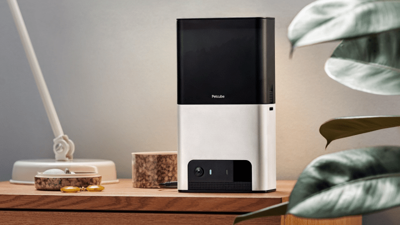 Petcube Bites 2 Lite placed in a modern room.