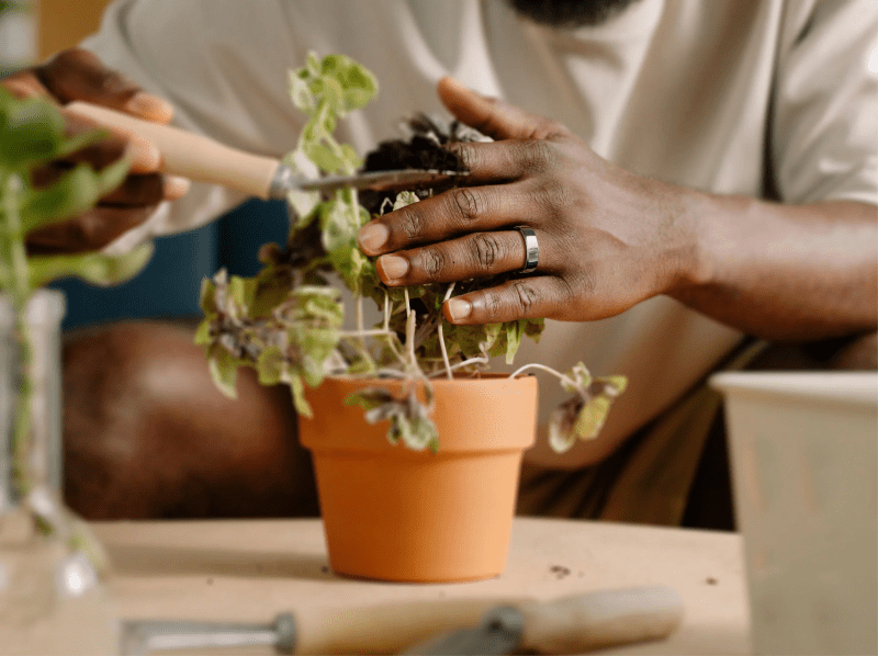 RingConn Gen 2: The Smart Ring with 12-Day Battery&nbsp;Life